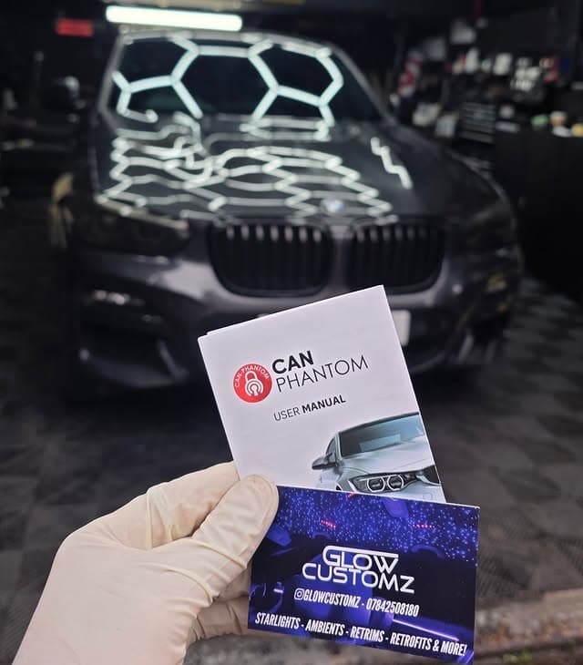 Ghost immobiliser security system